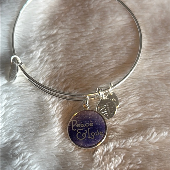 Alex and Ani Silver Minimalist Charm Bracelets Set - Picture 5 of 8